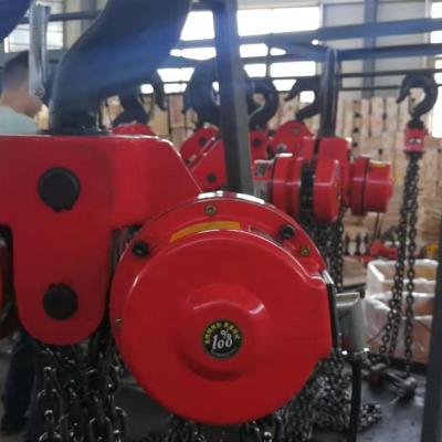 China Building Material Shops 30T Industrial Electric Lift Hoist for sale