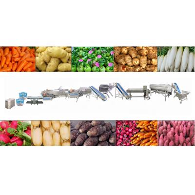 China Industrial Root Vegetables And Meat Processing Plants Automatic Fruits Cutting Washing Drying Processing Production Line for sale