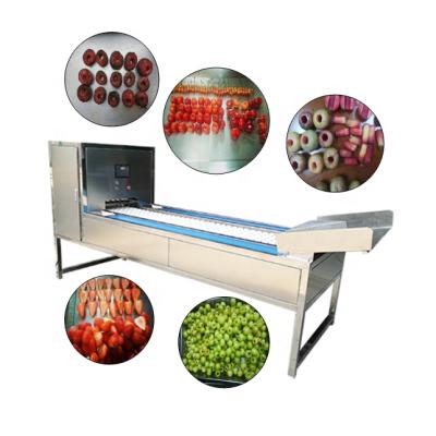 China Hotels Industrial Lychee Core Removal Machine Olive Core Removal Machine Plum Pitting Machine For Fruit for sale