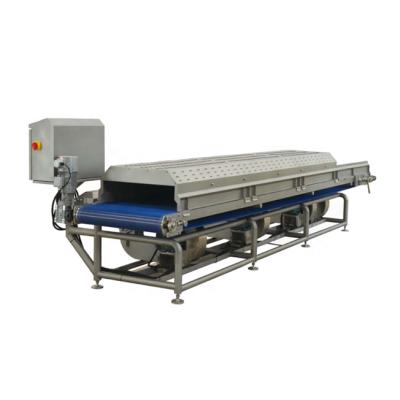 China Hotel ZYWL-530 Air Mesh Belt Conveyor Fruit and Vegetable Drying Machine Dehydration Vegetable Drainer for sale