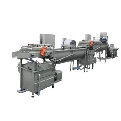 China High Efficiency Industrial Fruits And Vegetables Sorting Sterilizing Washing Cutting Conveying Drying Processing Line for sale