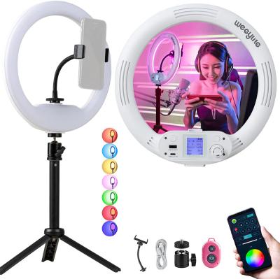 China weeylite RGB LED Ring Light with Stand&Phone Holder, 360 APP Control Dimmable Full Color Beauty Light for Photography WE-9 for sale