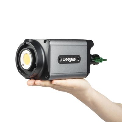 China Weeylite Outdoor Photographic Light Studio Ninja300 Wireless Flash Strobe Light Ninja 300 for sale