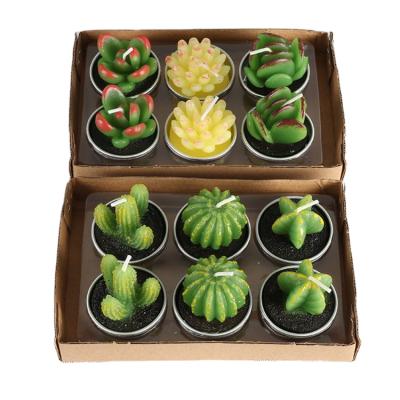 China ART Everyone Likes Each Set of 12 Decorative Wax Candle Accessories Cactus Candles in Different Shapes for sale