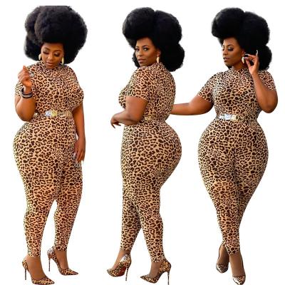 China 2020 QUICK DRY hot sale plus size leopard casual set for women fat overalls china wholesale for sale