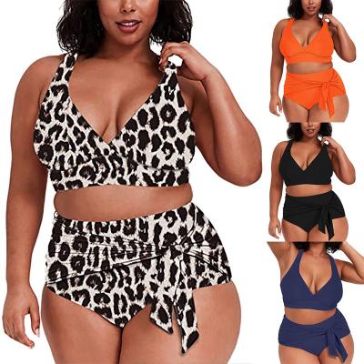 China Ladies plus size sexy mature bikini QUICK DRY colorful factory price beach wear two piece plus size swimwear for women 2021 for sale