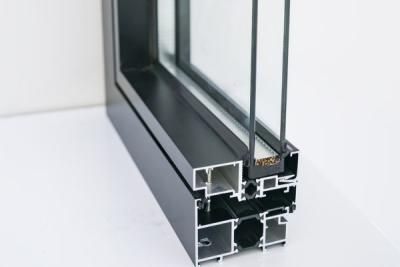 China Design Versatility Section Door Aluminium Profile zu verkaufen