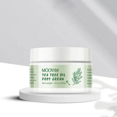 China OEM ODM Tea Foot Natural Tree Oil Hydration Hand and Foot Whitening Lotion for Feet Dry Cracked Foot Cream for sale