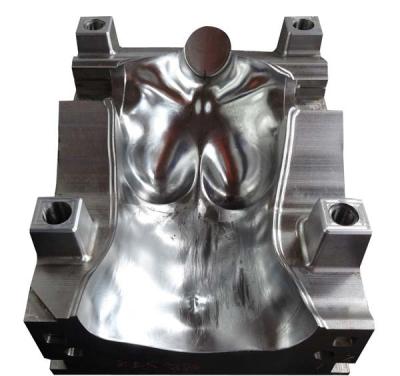 China High Quality Steel Human Body Injection Mold for sale