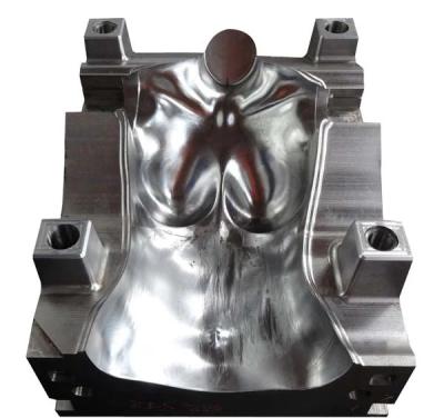 China High Quality Cheap Customized Plastic Metal Mannequin Mold for sale