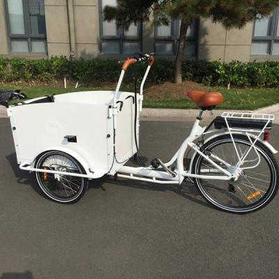 China Hot Selling Family 3 Wheel Cargo Bike Europe Warehouse Steel Electric Bicycle Box 4 Kids Front Wooden Seat for sale