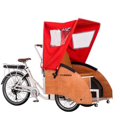 China For Adult Three Wheel Cargo Bike 48V 500W Motor Family Electric Bicycle Bicycle For Adult People for sale