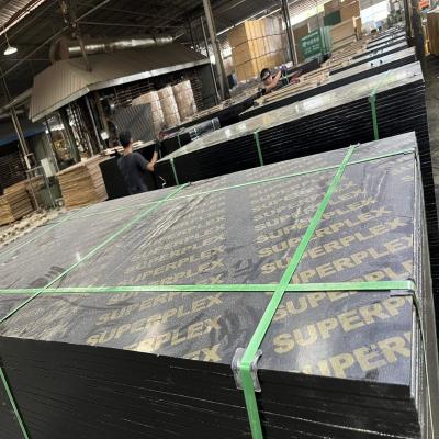 China Factory direct sales contemporary film plywood for use on construction sites 15MM 18mm for sale