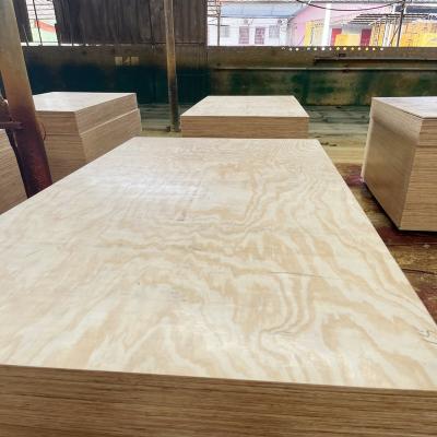 China E1 Color Plywood Traditional Transparent Construction Glue Concrete Wooden Log Board for sale