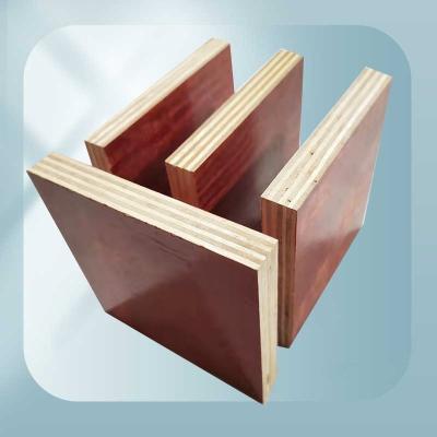 China China Modern Plywood Supplier Timber Timber Formwork For Construction for sale