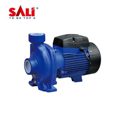 중국 High quality family homes SALI MHF 5BM pumps electric centrifugal water pump 판매용