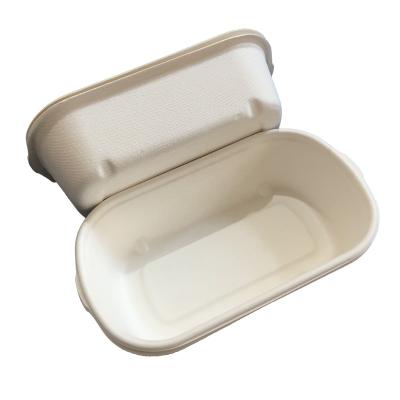 China 700ml Togo Biodegradable Plant Based Disposable Food Container With Lid Eco-friendly Disposable Sturdy Food Container for sale