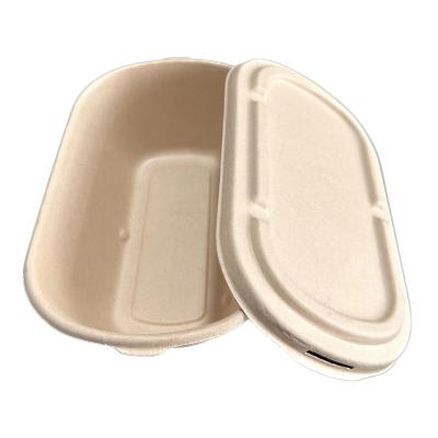 China 1000ml Biodegradable Disposable Takeaway Food Container With Optional Lid Made From Sugar Cane Pulp for sale