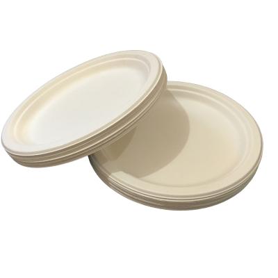 China 9 Inch Compostable Plates Biodegradable Bagasse Heavy Duty Disposable Dish Made From Sugar Cane for sale