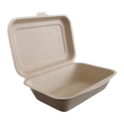 China 5X 7X 2 Inch 450ml Clamshell Biodegradable Disposable Eco Friendly Food Container With Hinge Lid for sale