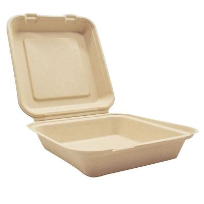 China 8 Inch Biodegradable Square Clamshell Food Container Disposable Compostable Bowl for sale