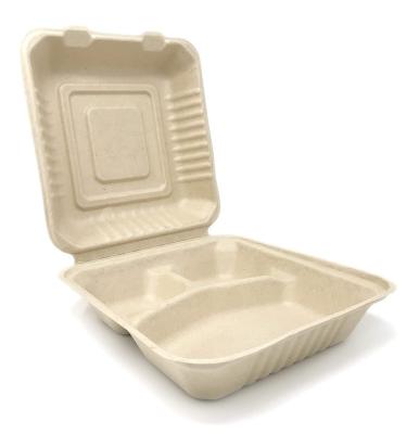 China 8X8X3 Inch 100% Compostable Biodegradable Bagasse Clamshell Box With 3 Compartments Made From Wheat Straw for sale