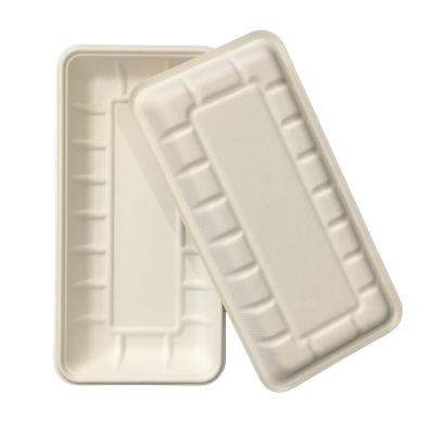 China 10.6X 5.3X1 Inch Biodegradable Compostable Fridge Tray With Embossed Design Bagasse Wheat Straw Meat Tray for sale