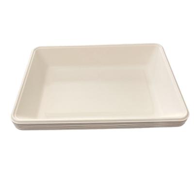 China 290X210X40mm Compostable Biodegradable Bagasse Straw Microwave Wheat and Freezer Food Safe Tray for sale