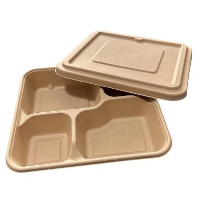 China 9.5X9X1.5 Inch 4 Tray Eco Friendly Biodegradable Disposable Biodegradable Trays With Lid Compostable Sugar Cane Tray Optional for sale