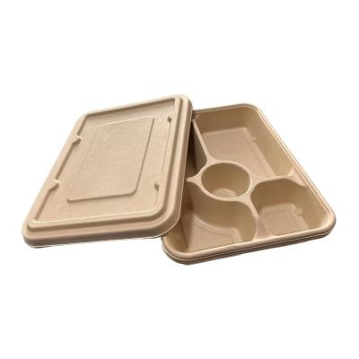 China 210X280X40mm biodegradable 5 compartment fast food tray made from biodegradable compostable sugar cane pulp for sale