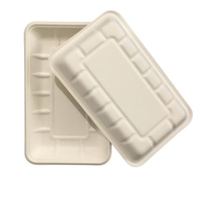 China Biodegradable Disposable Tray 220X135X24mm Microwavable Dish For Restaurant Biodegradable Sugarcane Pulp Food Tray for sale