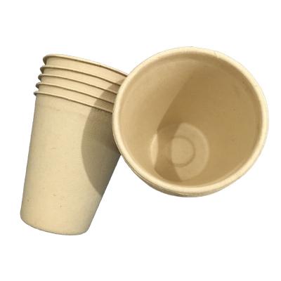 China 8oz Biodegradable Disposable Cup Hot Cold Beverage Cup for Water and Juice and Coffee or Tea Cup for sale