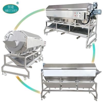 China 1000kg/hr Africa Cassava Skin Peeling And Washing Machine Continuous Automatic Screw Root Vegetable Washing And Peeling For Industrial Use for sale