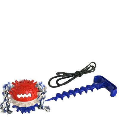 China Outdoor Dogs Hot Style Dog Walking Surgeon Pulling Tether Ball Squeaking Pig Dog Chew Toy Dog Toys for sale