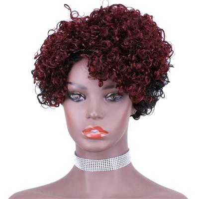 China Body Wave Customized Brazilian Curly Pixie Human Hair Short Wigs Short Hair Wigs For Black Women Hair for sale