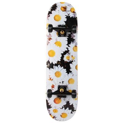 China Youth Skateboard Adult Brush Street Long Chain Double Board Four Wheel Beginner for sale