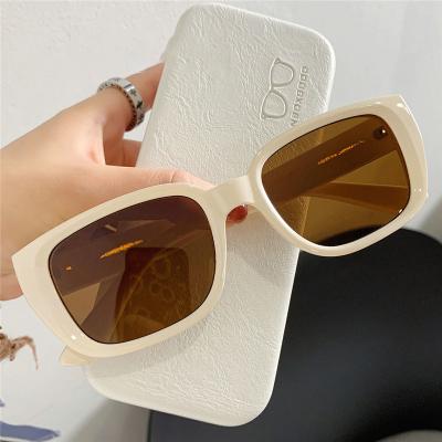 China 10 Years Experience New Women Fashion Vintage Retro Color Sunglasses Square Lady Colorful Female Eyewear Shades Female Oculos UV400 Sun Glass for sale