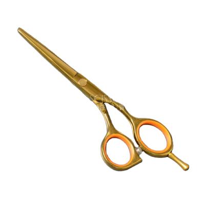 China Hair Scissors EX01 Hairdressing Salon Equipment Barber Tool Black Hair Scissors for sale