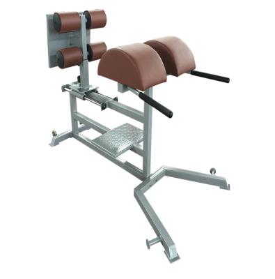 China glute ham raise glute bridge glute hamstring developer GHD machine for sale