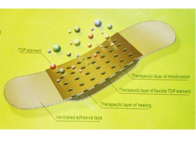 Chine La correction de fines herbes de douleur de soins médicaux/a traité avec des médicaments des corrections pour l'approbation de la CE de douleurs de dos à vendre