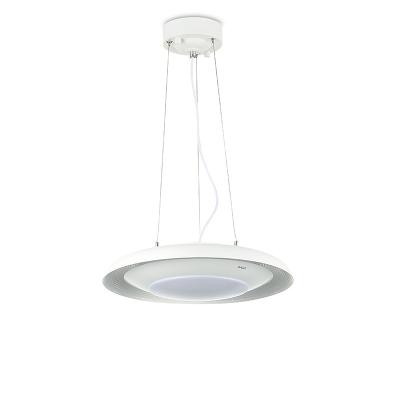 China Modern Designs CE ROSH Certificate Modern Kitchen Iron Acrylic Glass Germany Lightnet Steel Hanging Pendant Led Light Fixture for sale