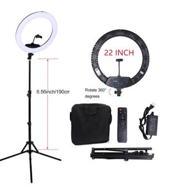 China Shenzhen PORTABLE portable usb controller led 21 22 inch whip beauty ring light for sale