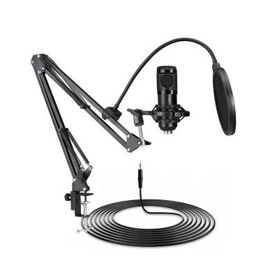 China Gooseneck Microphone Studio Streaming Vlogging Recording Condenser USB Microphone Podcasting KIT for sale