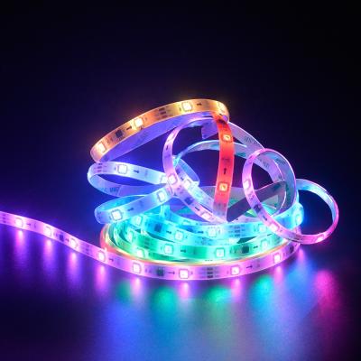 China NEW Smart Home Tuya WIFI Controlled Smart Home Radio Smart Color Changing Lighting Compatible Alexa Google RGB LED Strip for sale