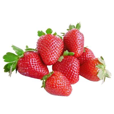 China Wholesale FROZEN Fruits New IQF Fresh Frozen Strawberry From China for sale