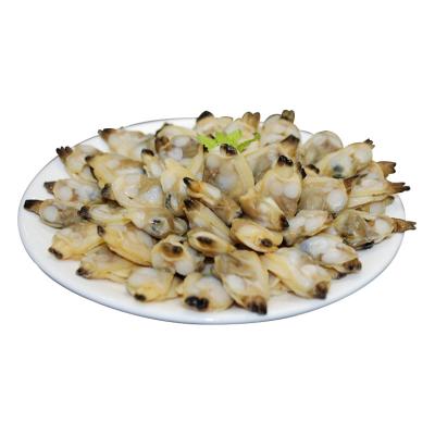 China FROZEN Baby Clam Frozen Meat for sale