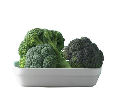 China New Season Fresh Chinese Frozen Fresh Broccoli Supplying All Year Round for sale