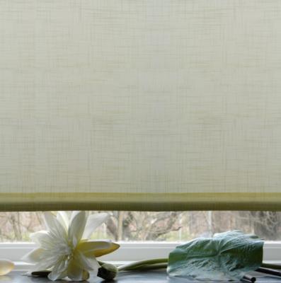 China Nice Contemporary Looking Solid Pattern Sunscreen Roller Shade Daylight Solid Roller Blinds For Windows for sale