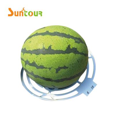 China Simply 2020 SUNTOUR Melon Support Crib Watermelon Pumpkin Growing Protector Mat for sale