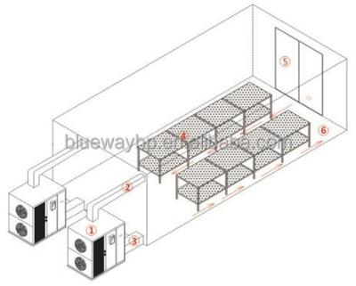 China Outdoor Drier Products Machine 80% Energy Saving Heat Pump Agriculture Dryer And Dehydrator for sale